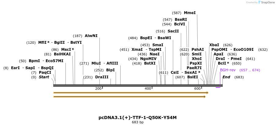 148899_map