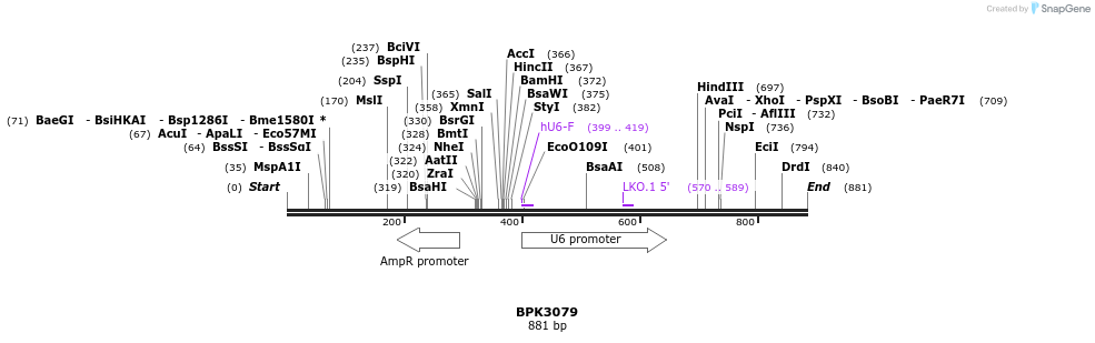 148901_map