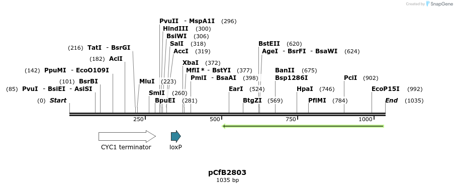 148905_map