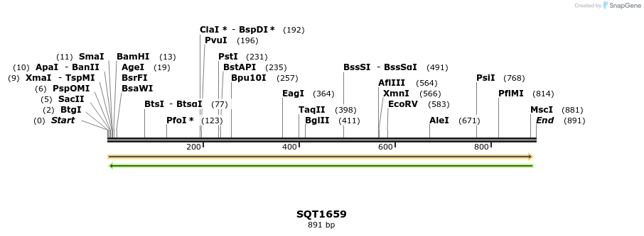 148911_map
