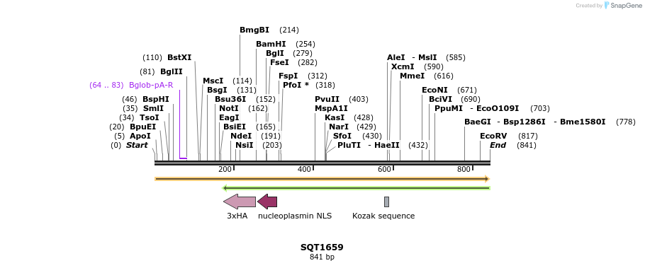 148912_map