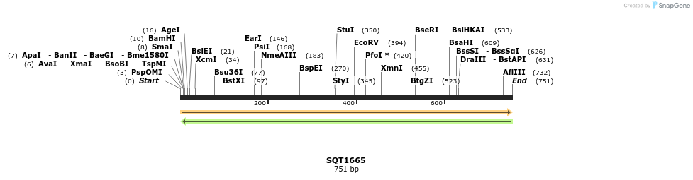 148916_map