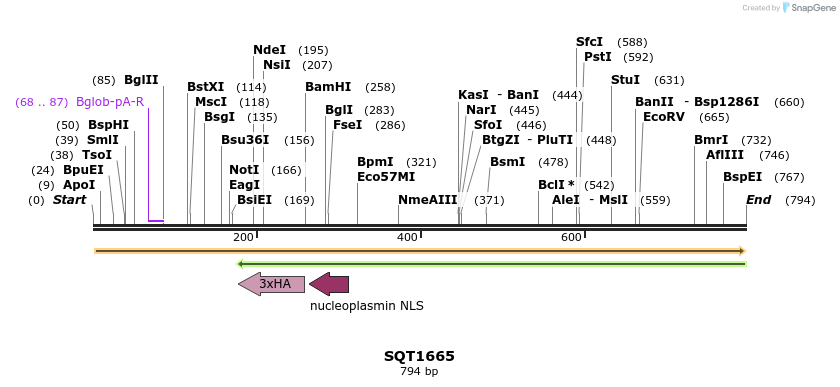 148917_map