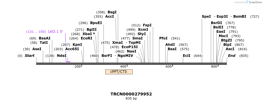 148922_map