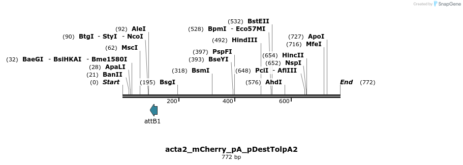 148923_map
