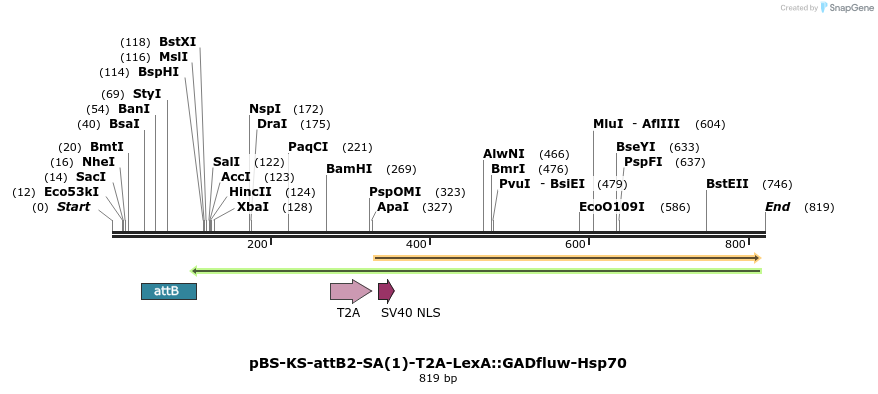 148943_map