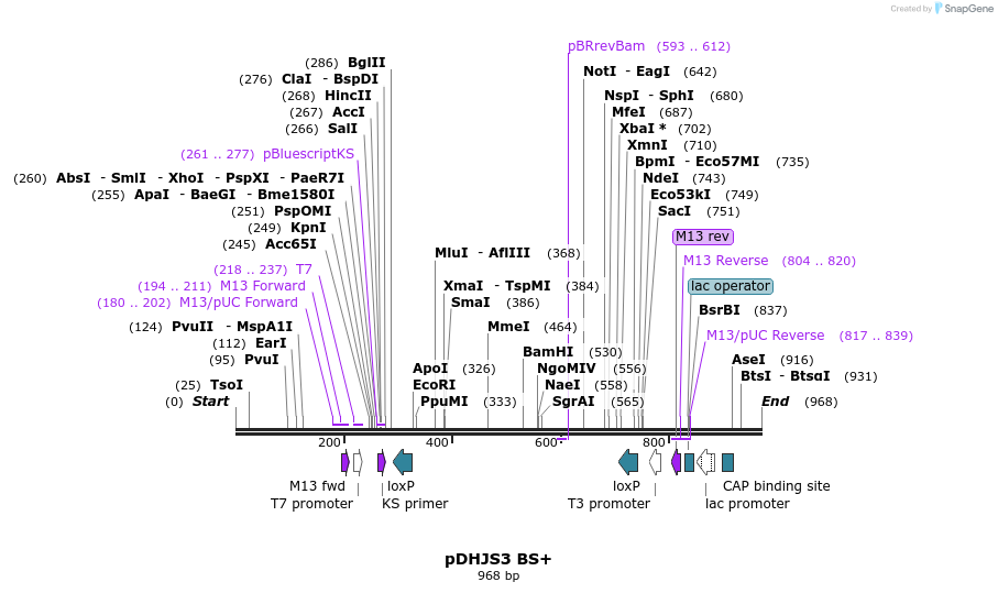 148978_map