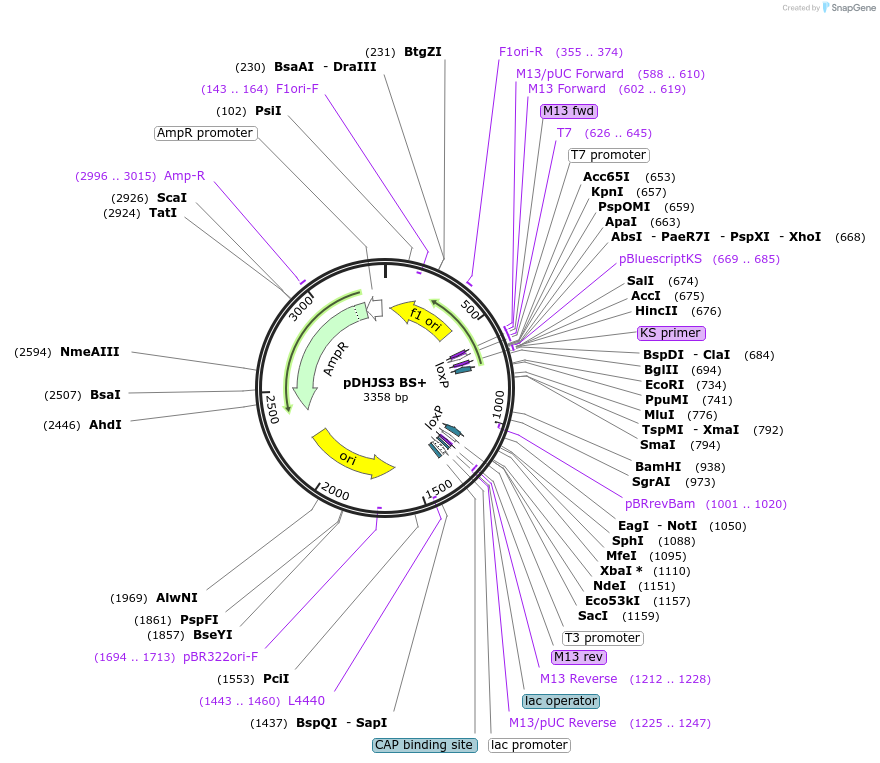 148981_map