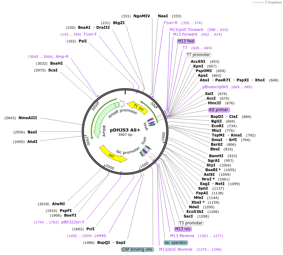 148985_map