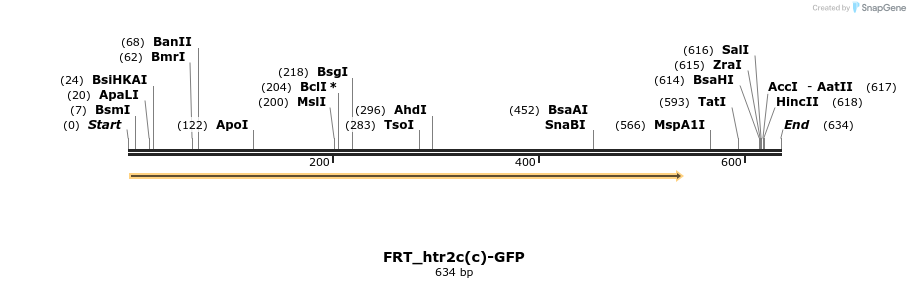 148988_map