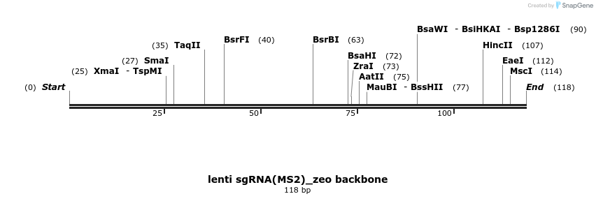 148990_map