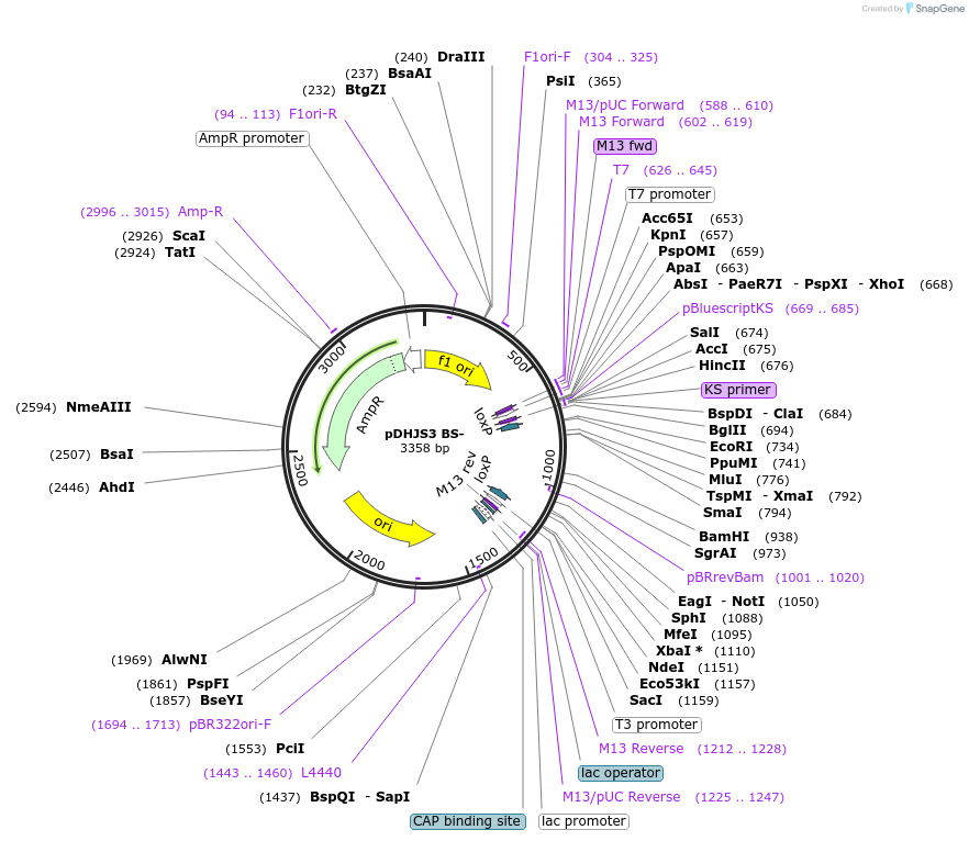 148991_map