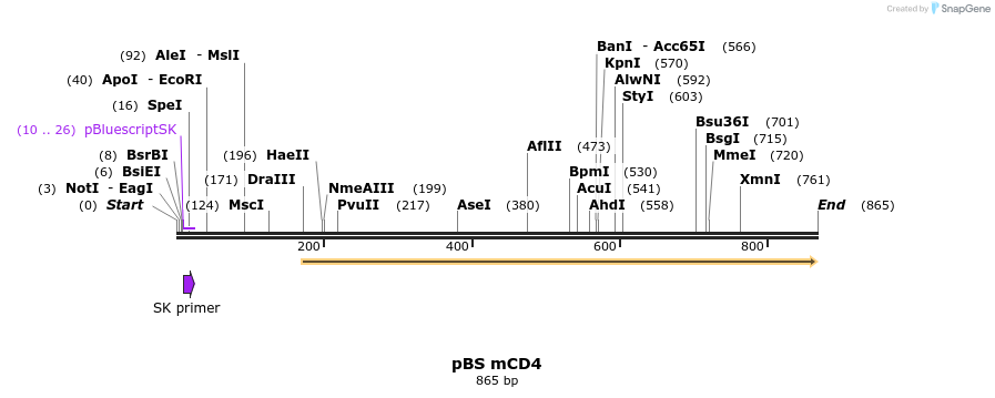 148993_map