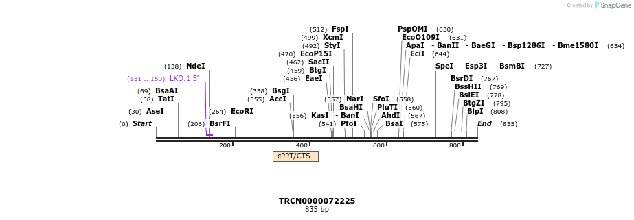 148995_map