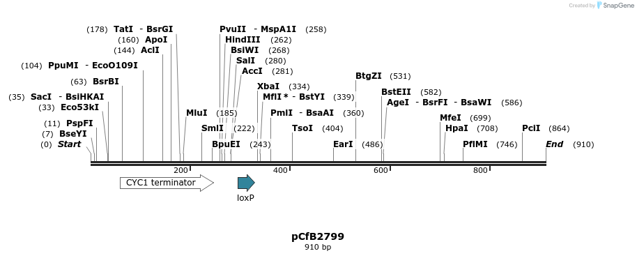 148997_map
