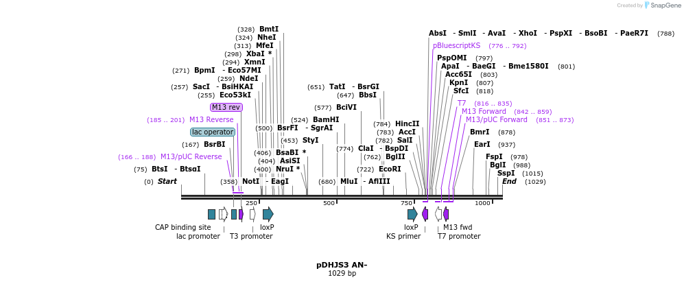148999_map