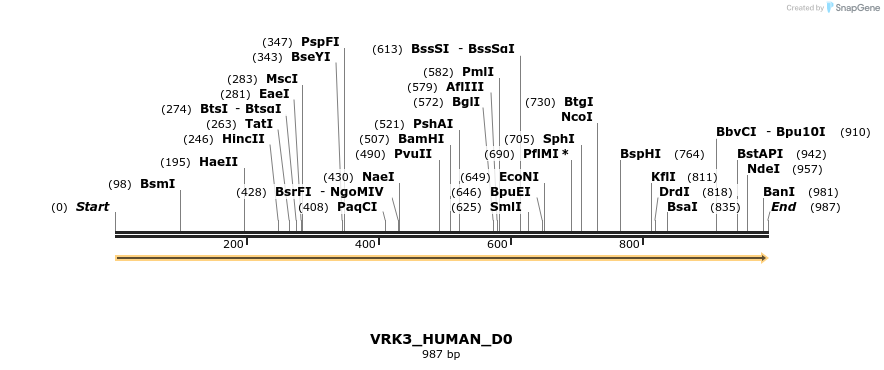 149003_map