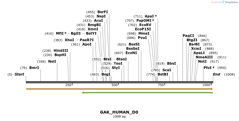 149004_map