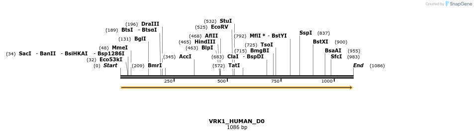 149006_map