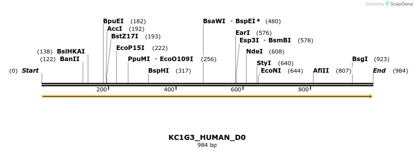 149007_map