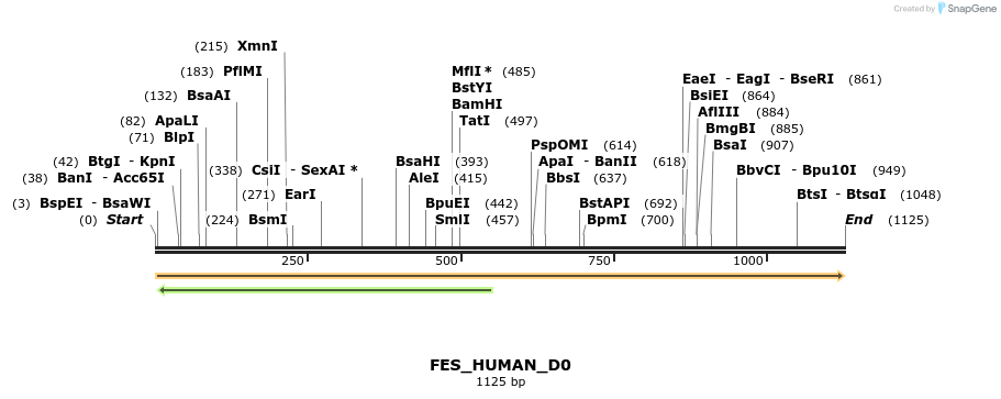 149008_map