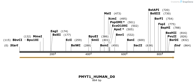 149009_map