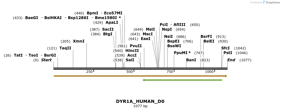 149012_map