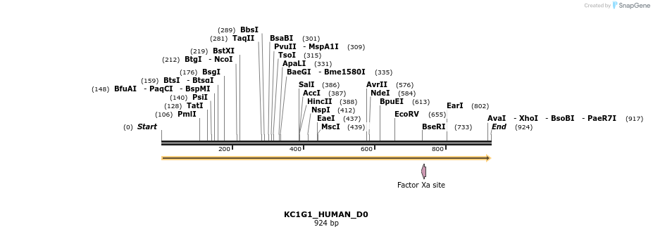 149013_map