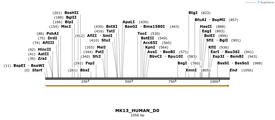 149015_map
