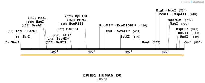 149016_map