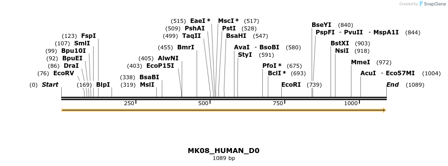 149017_map