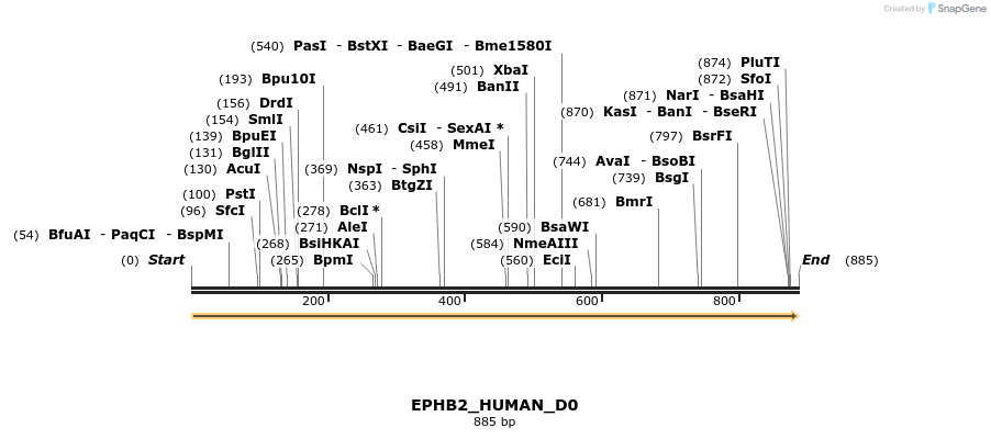 149019_map