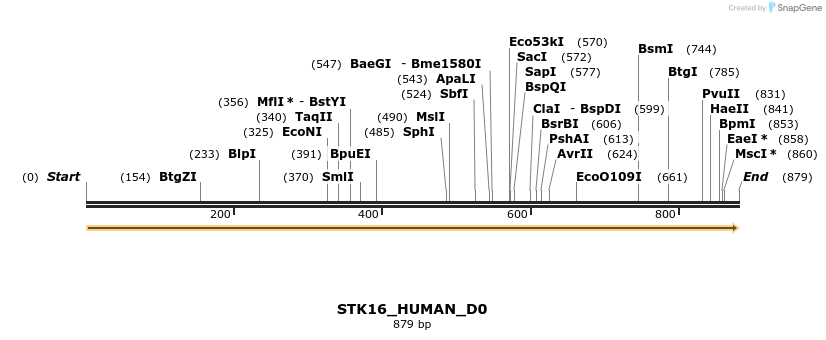 149023_map