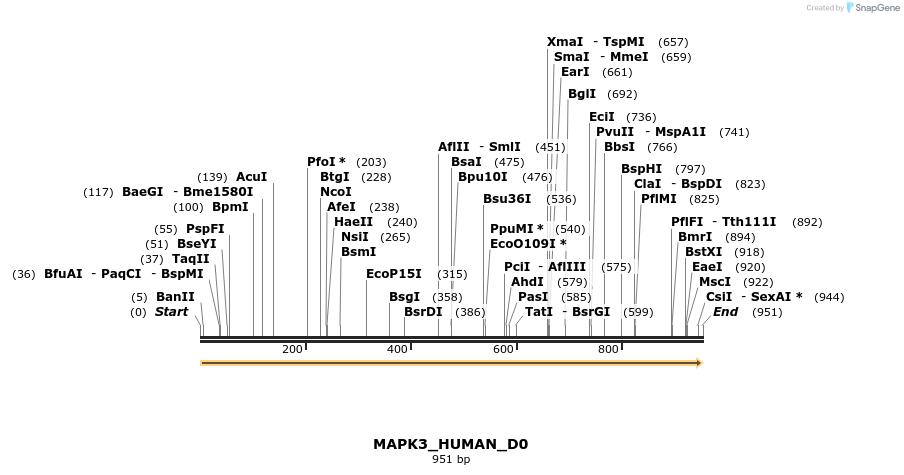 149024_map