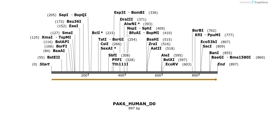 149025_map