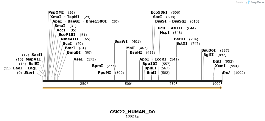 149026_map