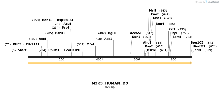 149032_map