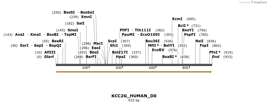 149033_map