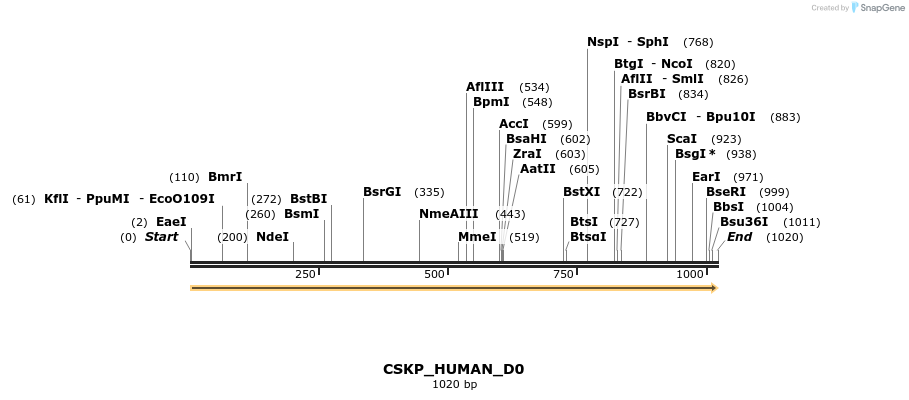 149036_map