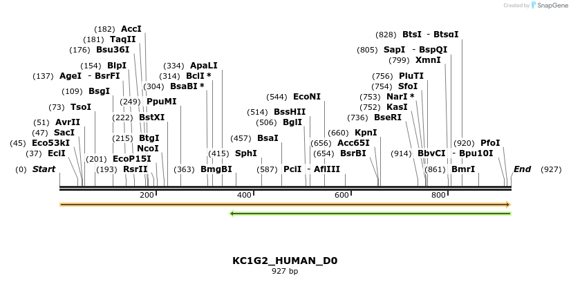 149038_map