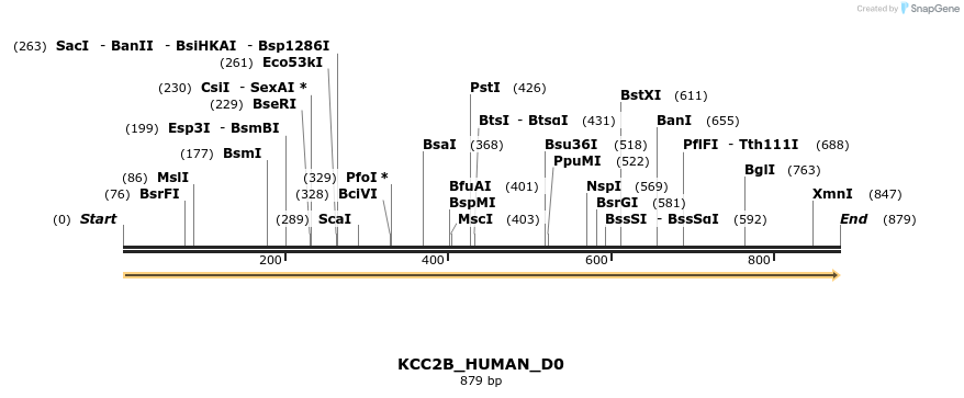 149040_map
