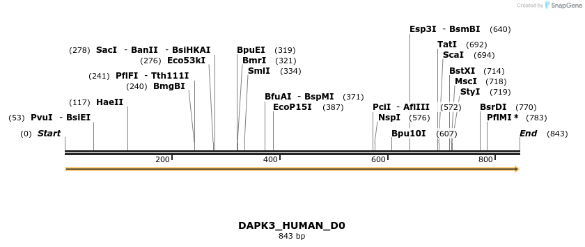 149043_map