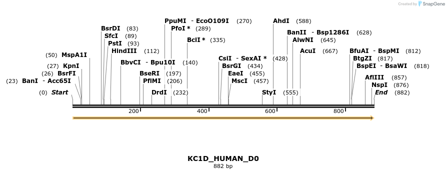 149045_map