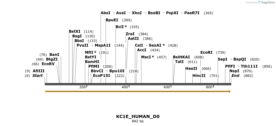 149046_map