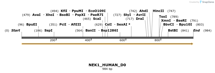 149047_map
