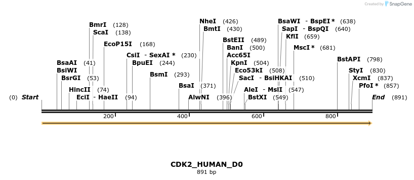 149048_map