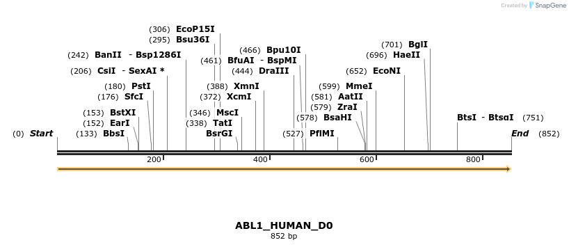 149049_map