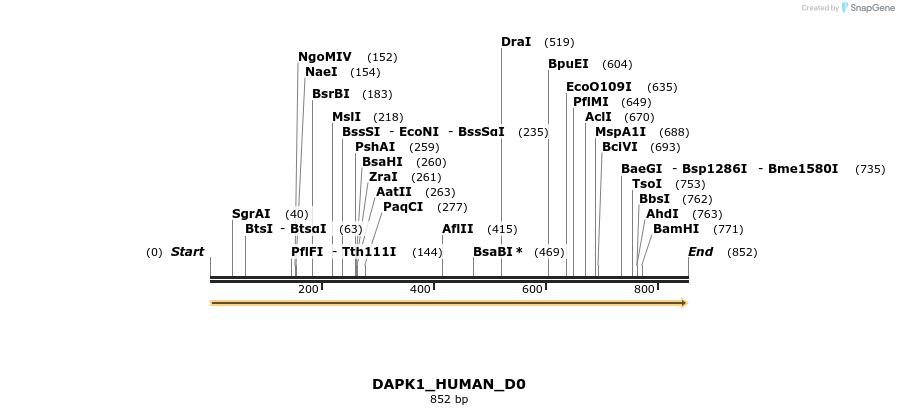 149050_map