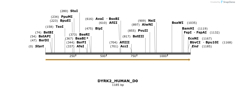 149051_map