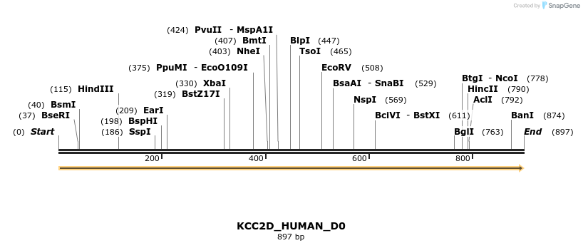 149056_map